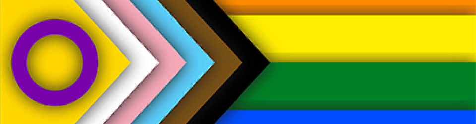 Ally Pride Flag